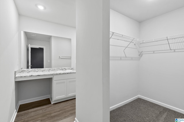 walk in closet featuring sink