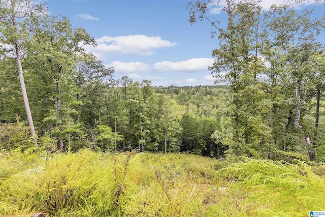 view of local wilderness