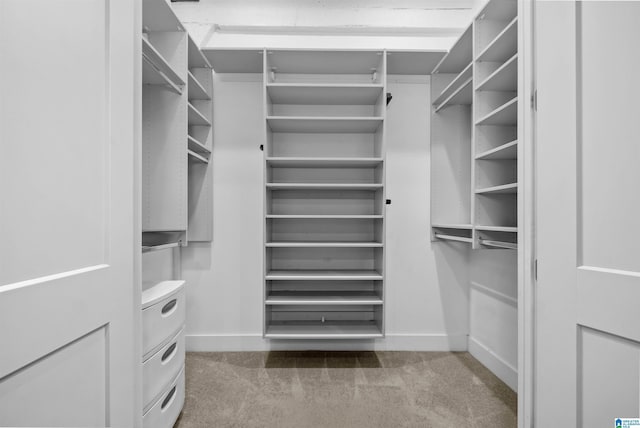 spacious closet with light colored carpet