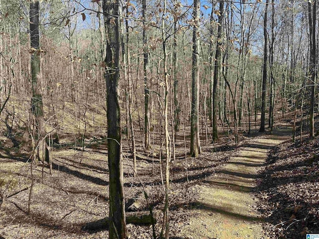 1009 Grand River Blvd, Leeds, AL 35094 - view of tree filled area
