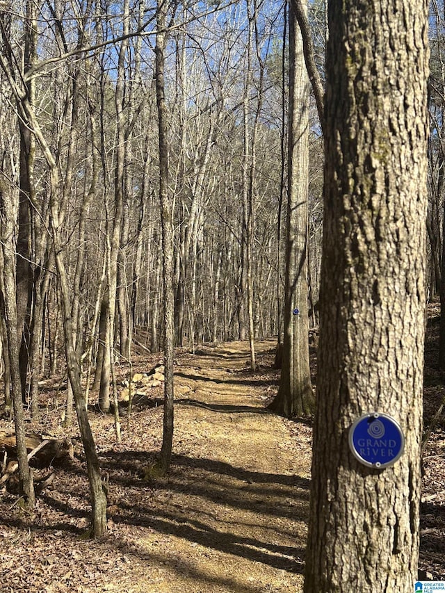 1009 Grand River Blvd, Leeds, AL 35094 - view of local wilderness