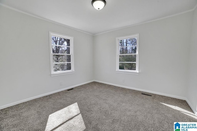 carpeted spare room featuring ornamental molding and plenty of natural light