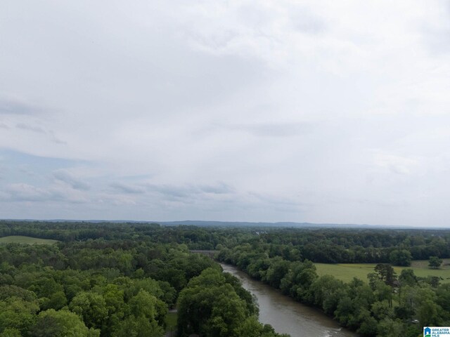 birds eye view of property with a forest view