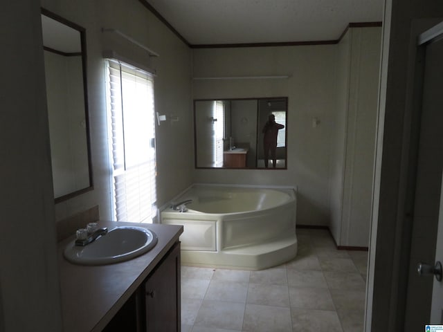 bathroom featuring vanity and a tub to relax in