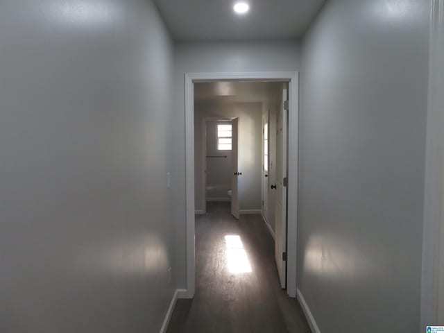 hallway featuring dark wood-type flooring