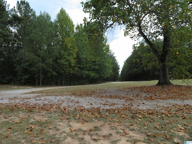 view of road