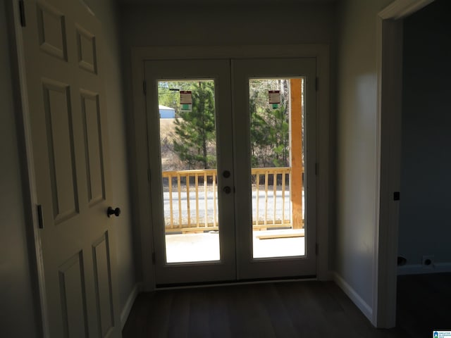 doorway featuring dark wood-type flooring, french doors, and plenty of natural light