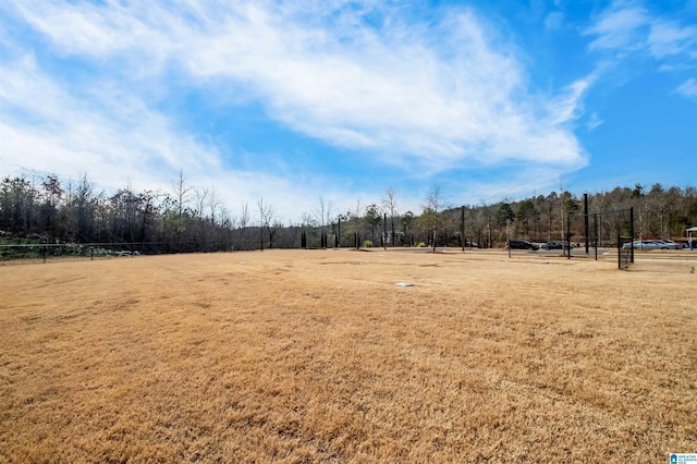 view of yard featuring a rural view