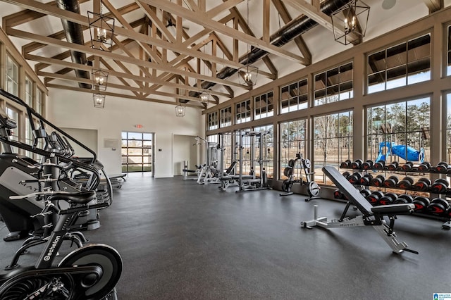 exercise room featuring high vaulted ceiling