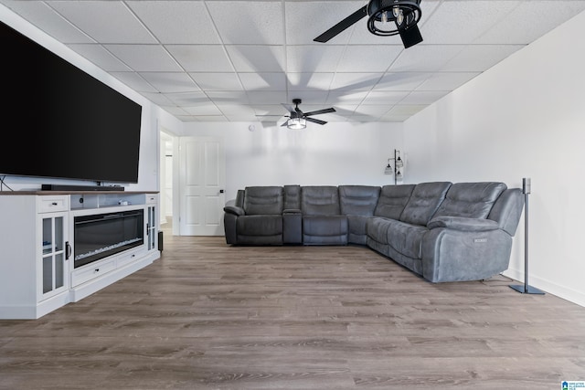 living room with ceiling fan, a drop ceiling, and hardwood / wood-style floors