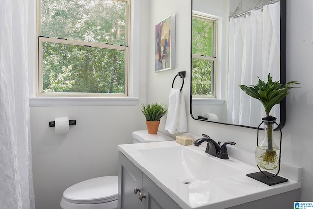 bathroom featuring toilet, a wealth of natural light, and vanity