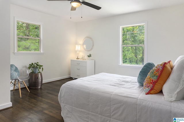 bedroom featuring ceiling fan, dark hardwood / wood-style flooring, and multiple windows