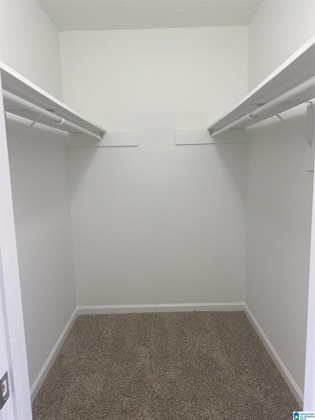 spacious closet featuring carpet flooring