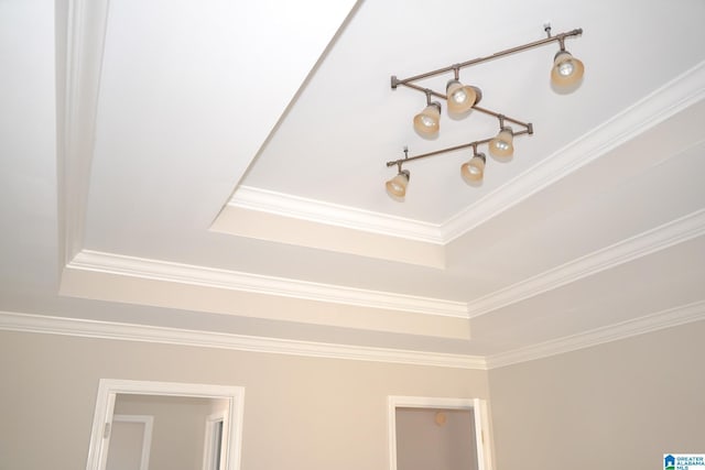 interior details featuring crown molding and a raised ceiling