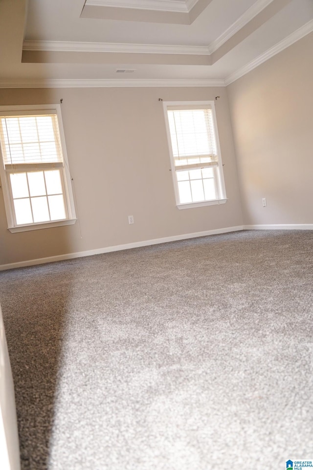 empty room featuring a tray ceiling and ornamental molding