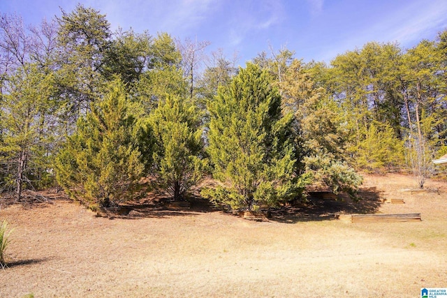 view of landscape