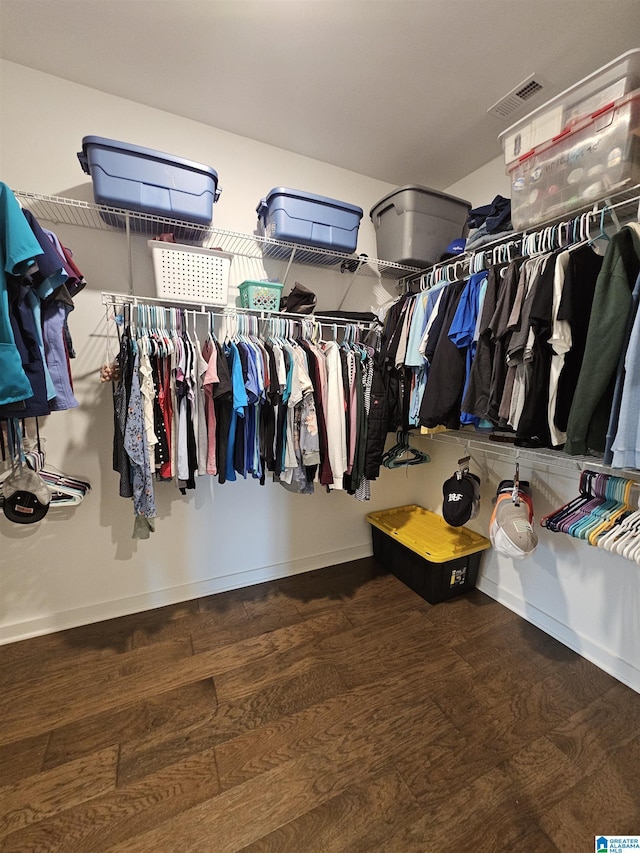 spacious closet with hardwood / wood-style floors