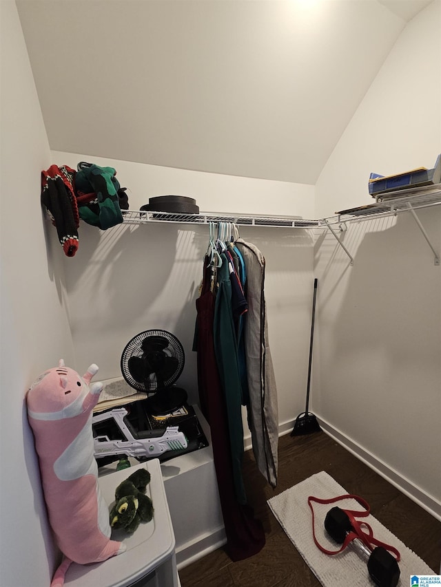 spacious closet featuring dark hardwood / wood-style flooring and vaulted ceiling