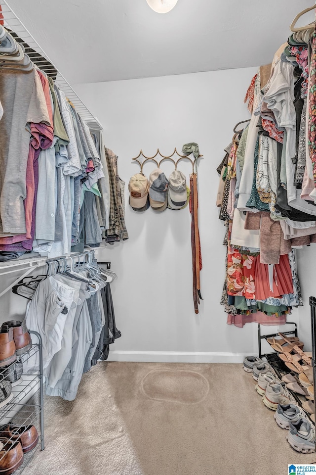 spacious closet with carpet flooring