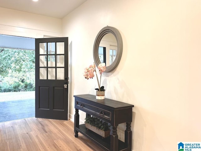 doorway to outside featuring hardwood / wood-style floors