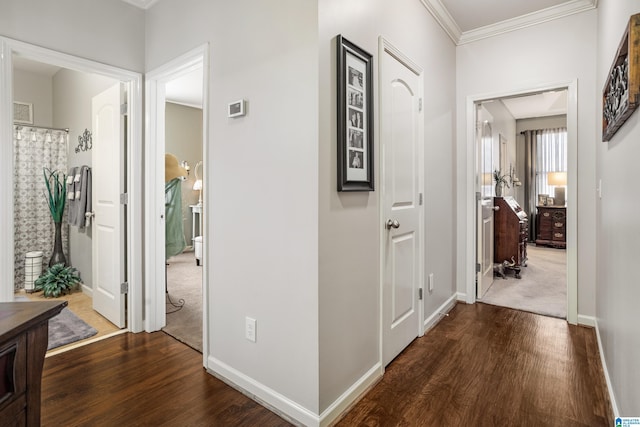 hallway with dark wood-type flooring and crown molding