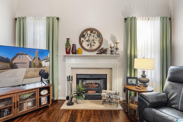 living area with dark wood-type flooring