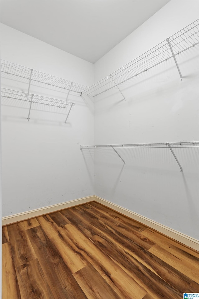 walk in closet featuring hardwood / wood-style flooring