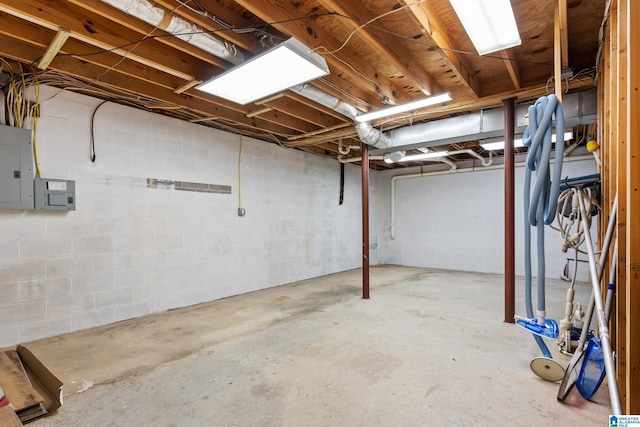 basement with electric panel