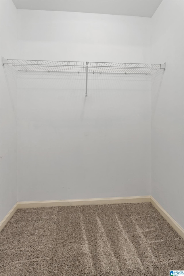 walk in closet with carpet flooring