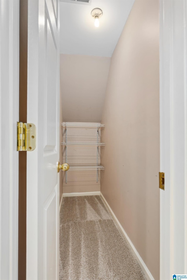 walk in closet featuring lofted ceiling and carpet flooring