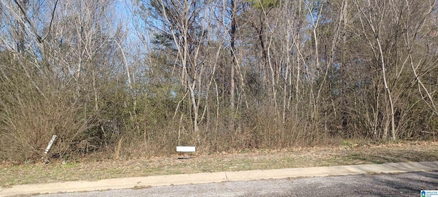 Listing photo 3 for 3286 Hillcrest Pl Unit 8, Adamsville AL 35005