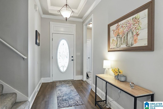 foyer featuring ornamental molding, dark hardwood / wood-style floors, and a raised ceiling