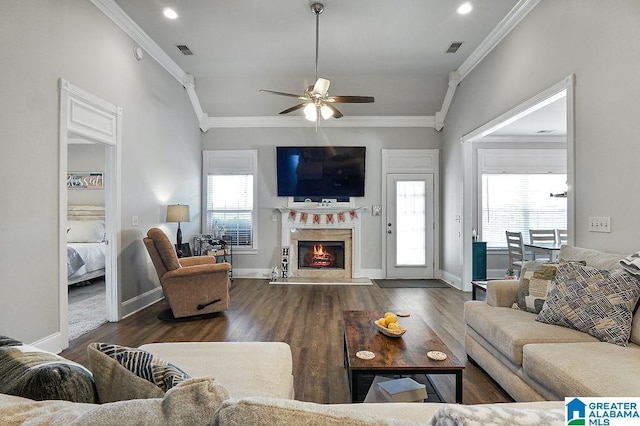 living room with crown molding, a fireplace, dark hardwood / wood-style floors, and ceiling fan