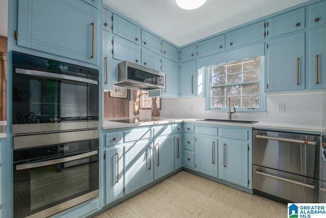 kitchen featuring blue cabinets, stainless steel appliances, and sink