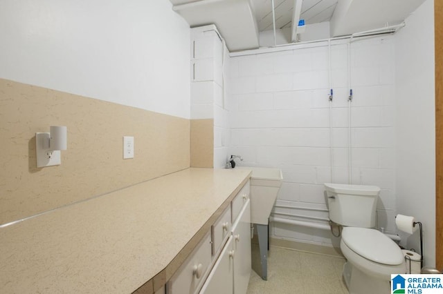 bathroom with toilet and vanity