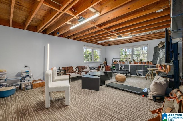 interior space with carpet floors