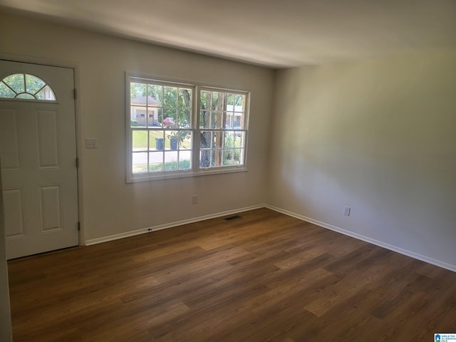 entrance foyer featuring plenty of natural light and dark hardwood / wood-style floors