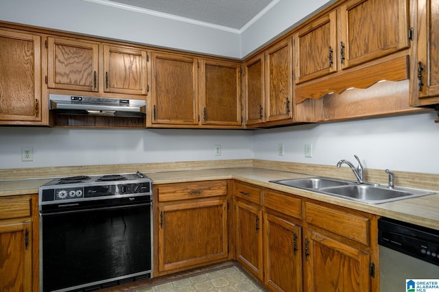 kitchen with ornamental molding, stainless steel dishwasher, range with electric cooktop, and sink