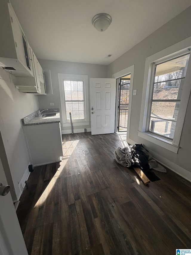 interior space featuring sink, a wealth of natural light, and dark hardwood / wood-style floors