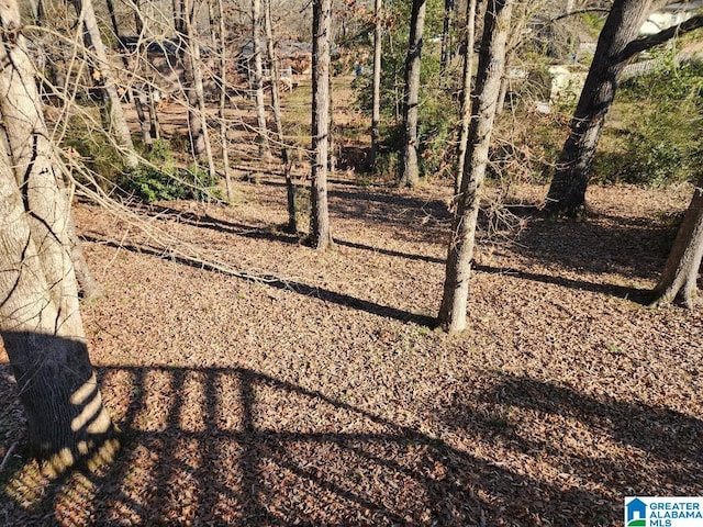 view of local wilderness