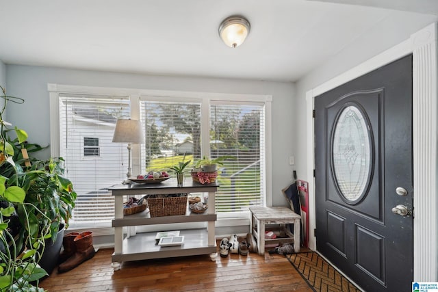 foyer with dark wood-type flooring