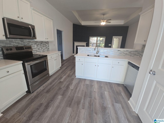 kitchen featuring white cabinetry, appliances with stainless steel finishes, a tray ceiling, and sink