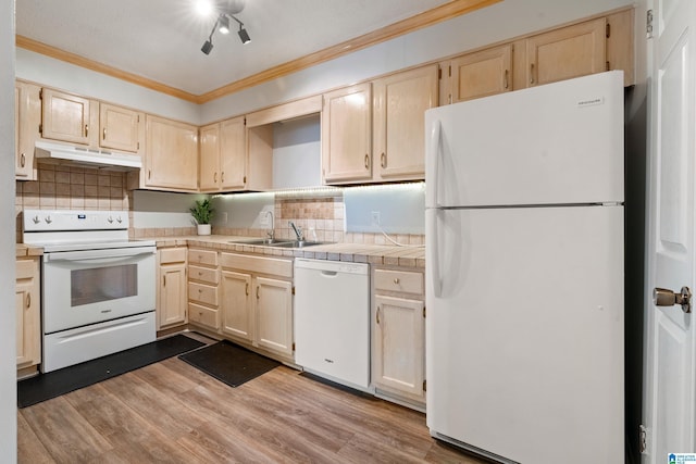 kitchen featuring white appliances, tile counters, light wood-type flooring, crown molding, and sink