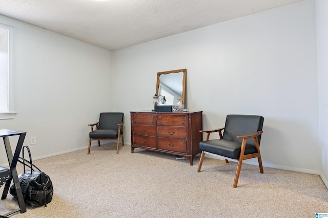 living area featuring a textured ceiling and light carpet