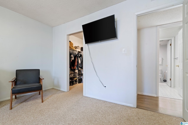 living area featuring a textured ceiling and light colored carpet