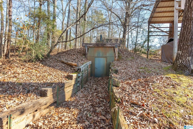 view of yard with a storage shed