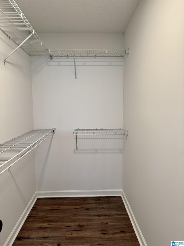 walk in closet featuring dark hardwood / wood-style flooring