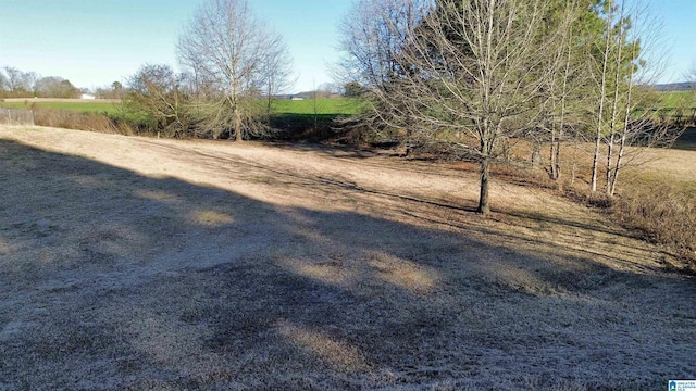 view of yard with a rural view