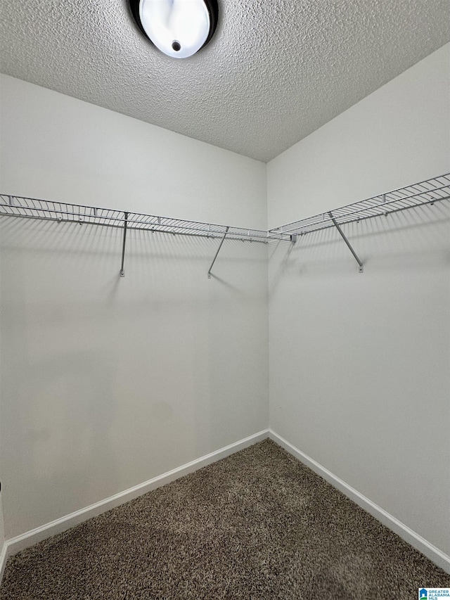 walk in closet with carpet