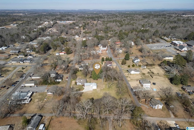 bird's eye view